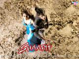 Shaapit (2010)